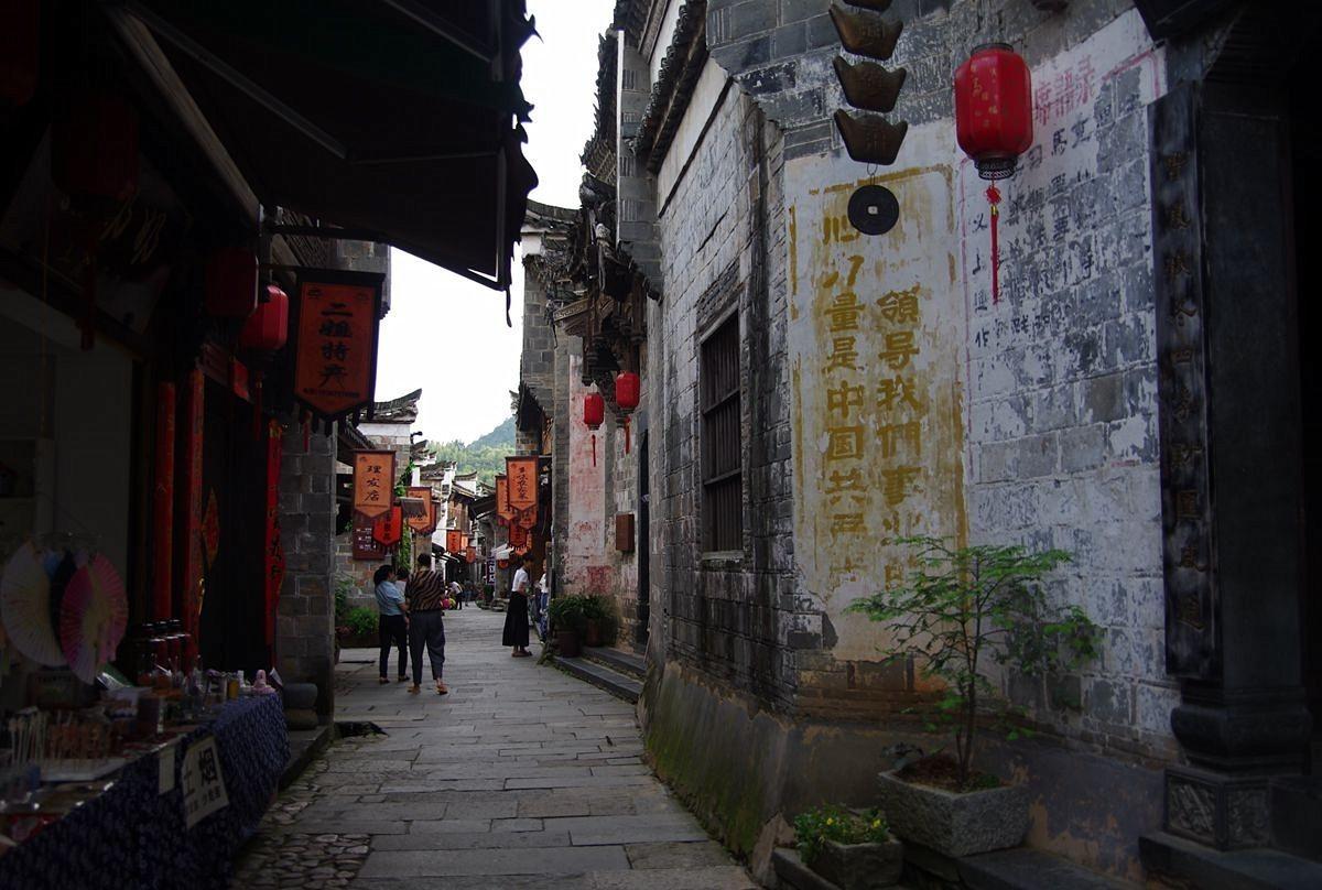 乌龟一般可以活几年？游戏画面